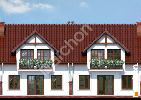 Elevation