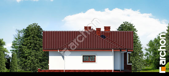 Elevation