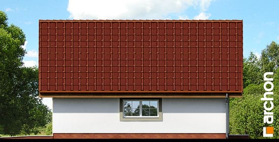 Elevation