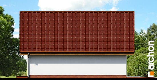 Elevation