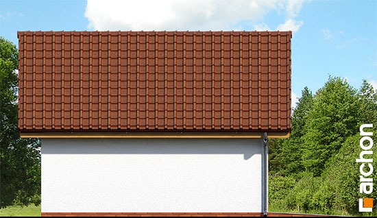 Elevation
