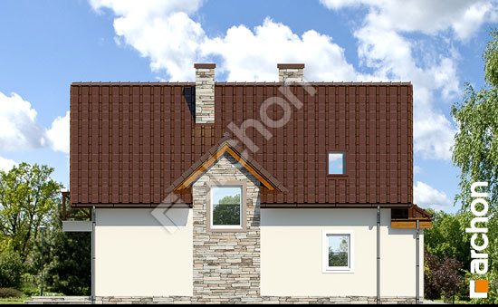 Elevation