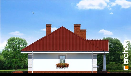 Elevation