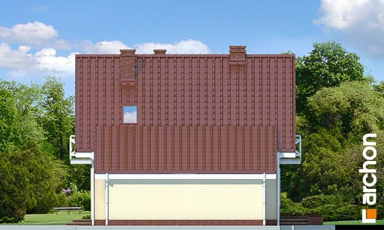 Elevation