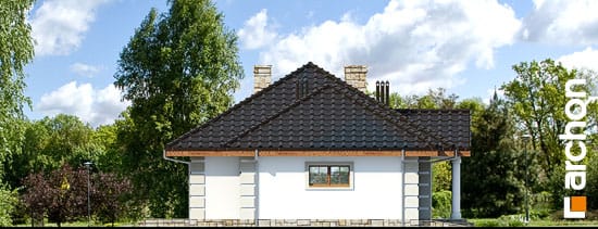 Elevation