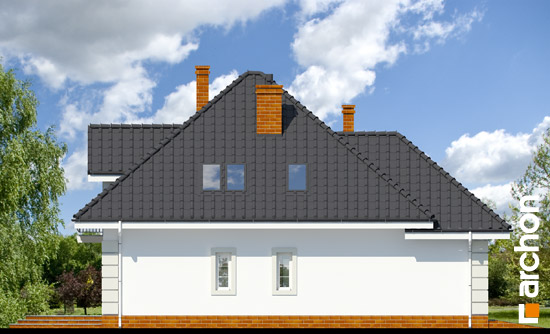 Elevation