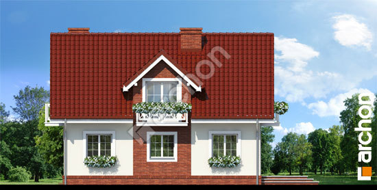 Elevation