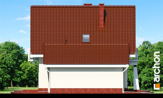 Elevation