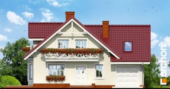 Elevation
