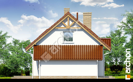 Elevation
