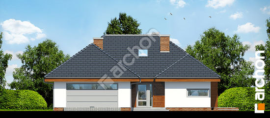 Elevation