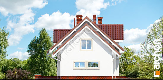 Elevation