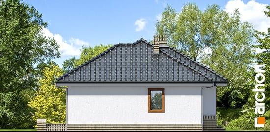Elevation