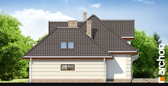 Elevation