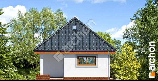 Elevation