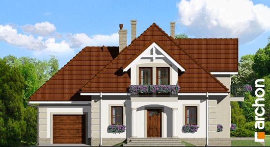Elevation