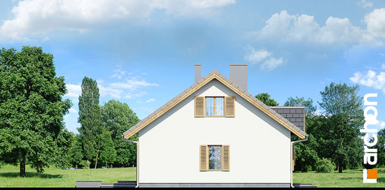 Elevation