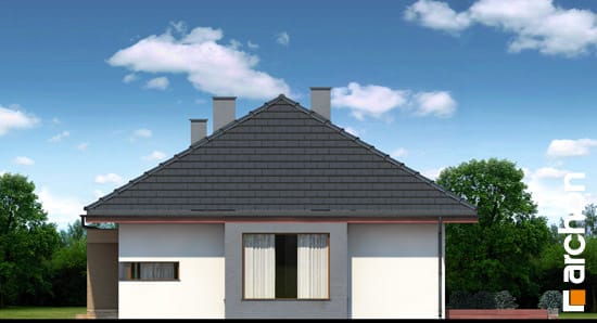 Elevation