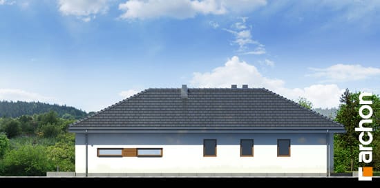Elevation