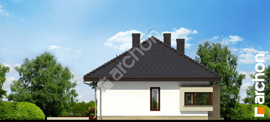Elevation