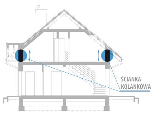 Scianka kolankowa