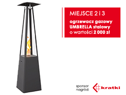 nagroda za drugie miejsce