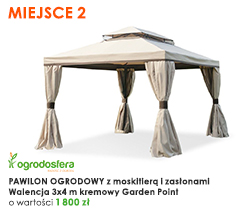 nagroda za drugie miejsce