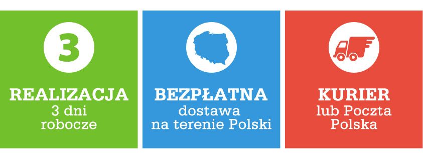 projekty domów szybka realizacja dostawa gratis