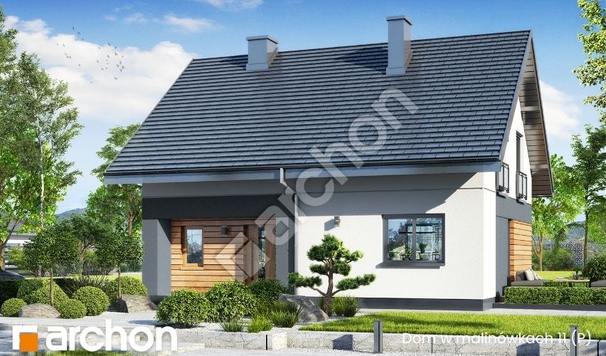 projekt domu Dom w malinówkach 11 (P)