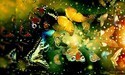 Cool wallpapers butterfly designs hd wallpaper 768x1280